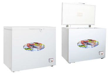 China Congelador eficiente da caixa de uma energia de 300 litros/congelador pequeno da caixa com fechamento fornecedor