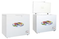 Congelador eficiente da caixa de uma energia de 300 litros/congelador pequeno da caixa com fechamento